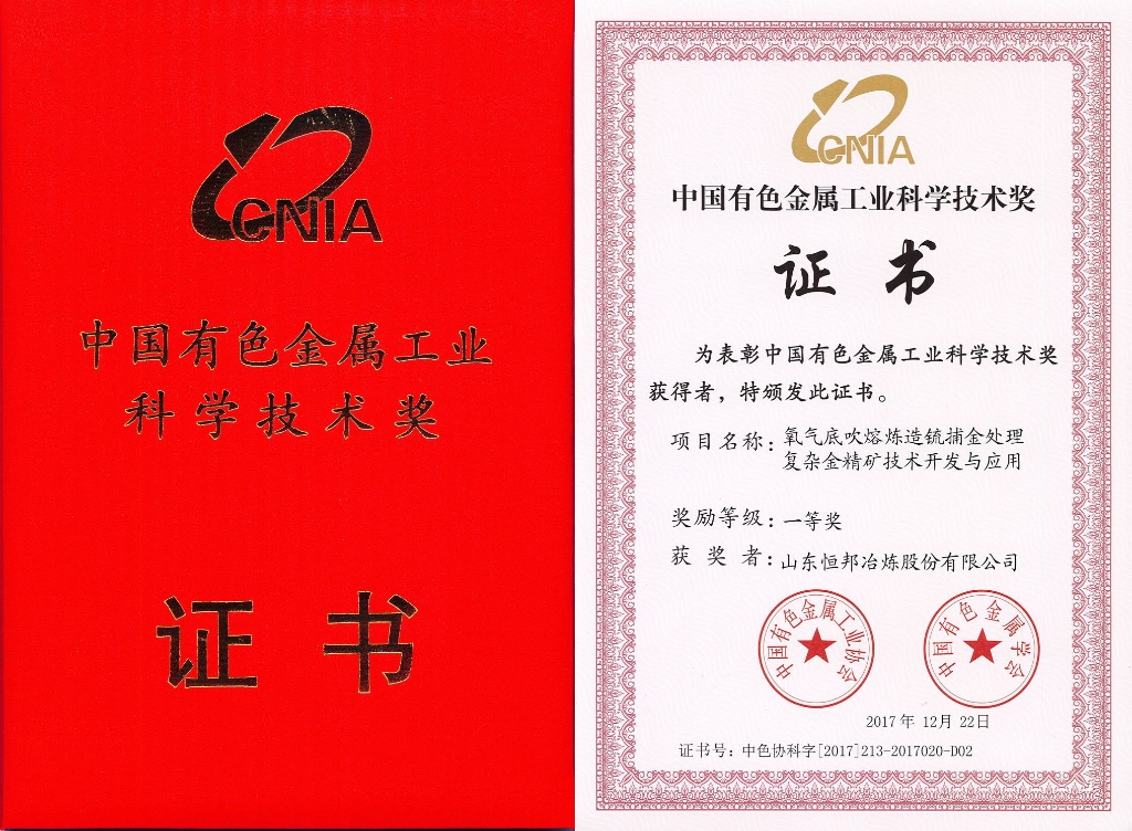 中国有色金属工业科学技术一等奖